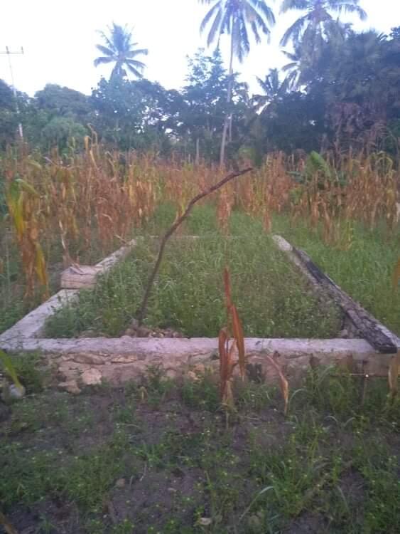 Level Tertinggi Dari Memberi