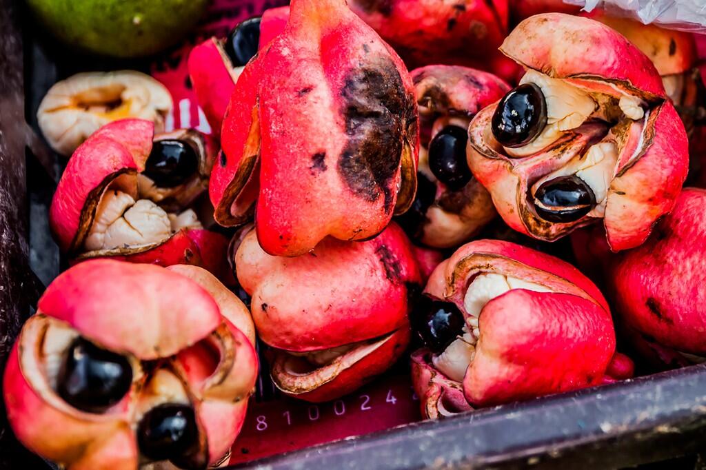10 Makanan Lezat Ini Ternyata Memiliki Racun Mematikan