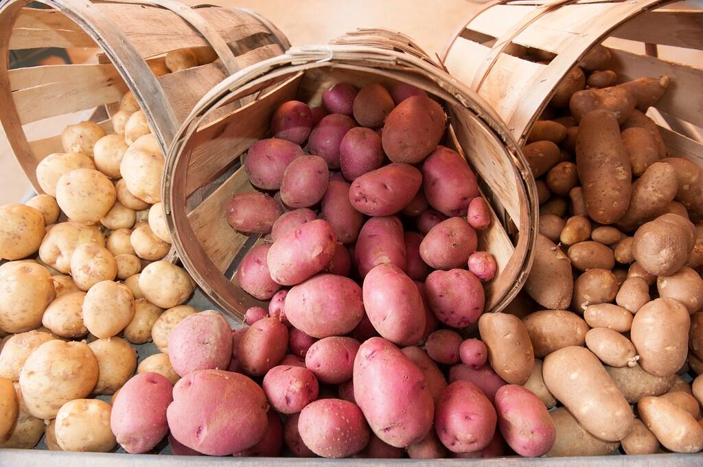 10 Makanan Lezat Ini Ternyata Memiliki Racun Mematikan