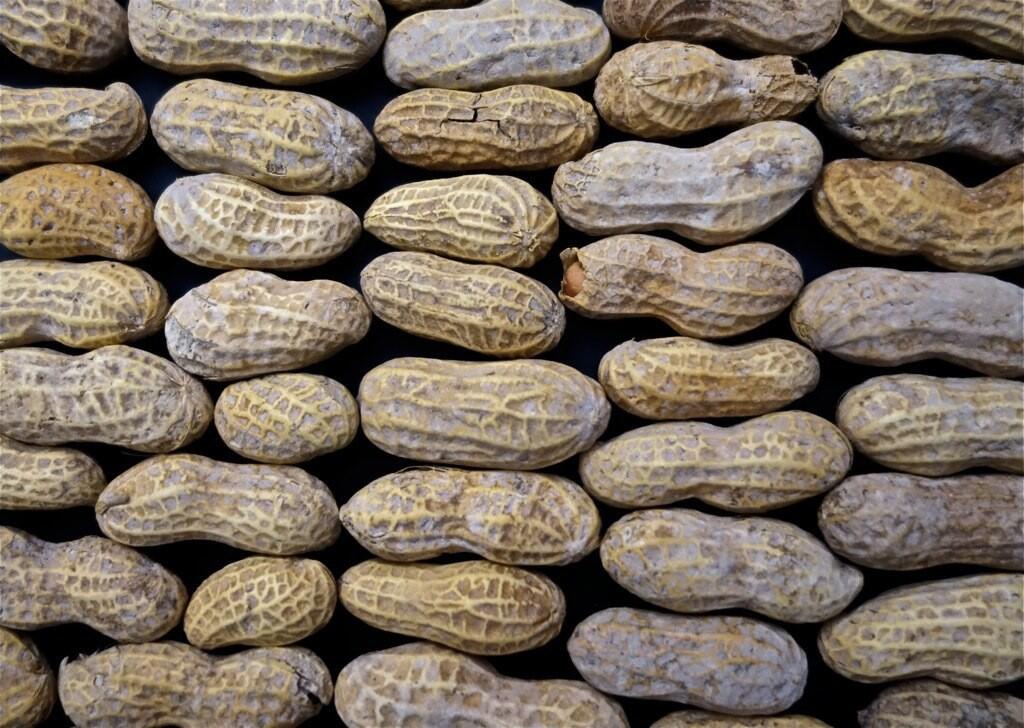 10 Makanan Lezat Ini Ternyata Memiliki Racun Mematikan