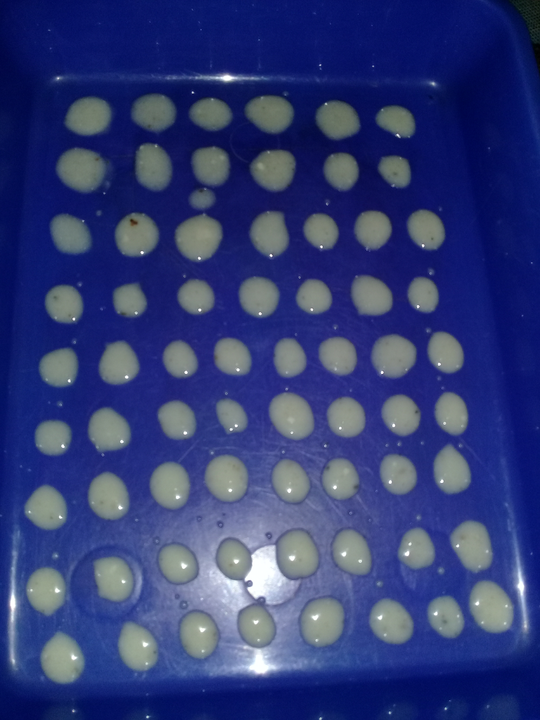 Puding Polkadot Kekinian, Mau Tahu Cara Bikinnya? Intip, Yuk!