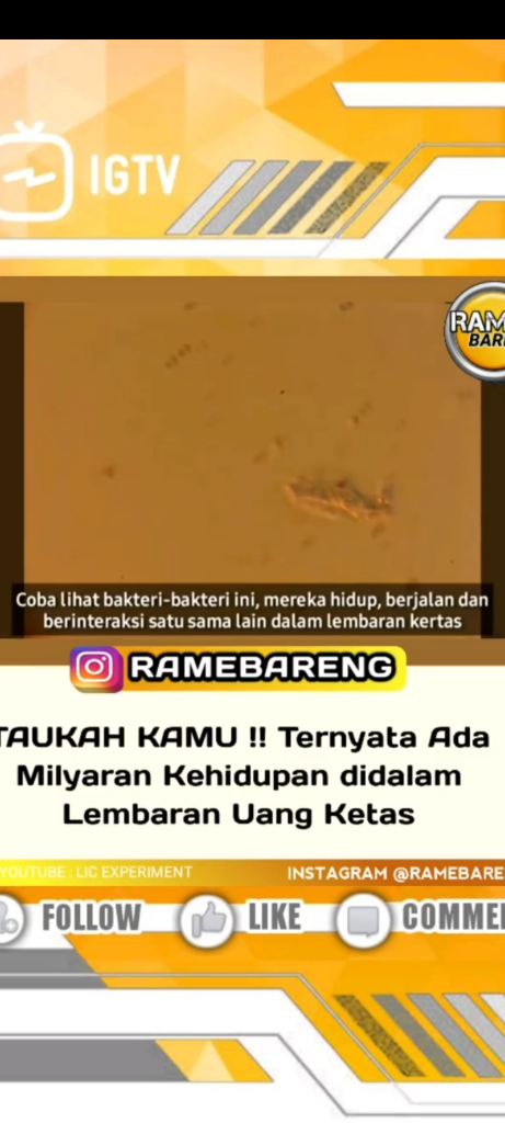 Bakteri Makhluk Tak Kasat Mata Di Dunia Nyata