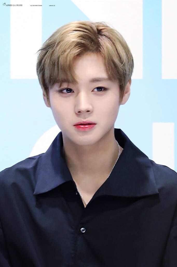 Park Jihoon Pertimbangkan Drama ‘Love Revolution’