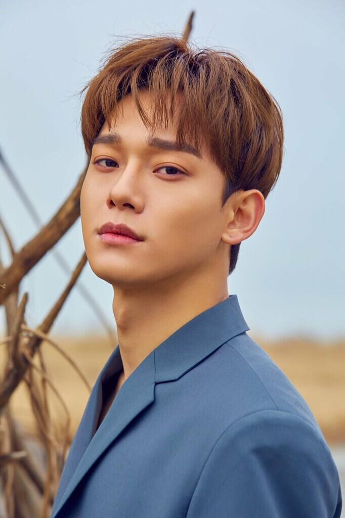 Chen ‘EXO’ Sambut Kelahiran Anak Pertamanya!