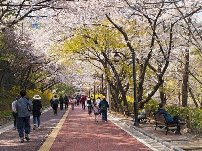 Hemat Biaya, Ini 6 Destinasi Gratis di Korea Selatan