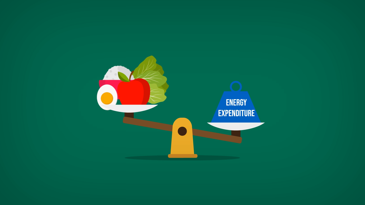 Ini dia DIET yg Tepat untuk OBESITAS