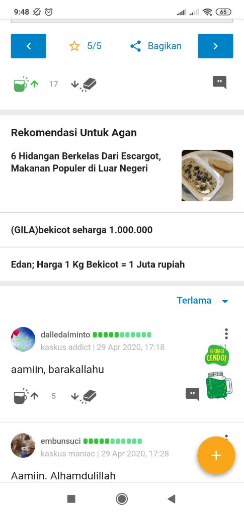 Tanam Jagung Tumbuh Jagung Tanam Padi Tumbuh Padi