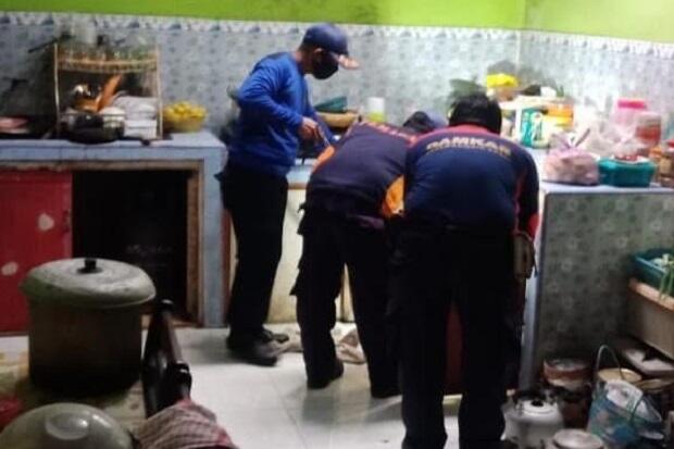 Nongkrong di Dapur Warga, Ular King Cobra 2 Meter Berhasil Ditangkap