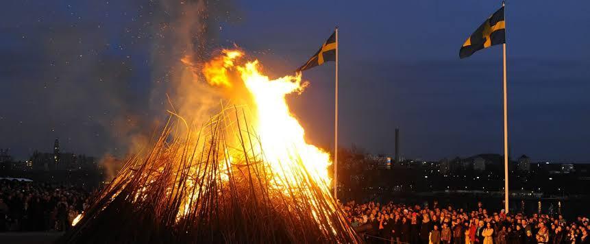 Lehuga! Cegah Rakyatnya Datang ke Festival, Kota di Swedia Menggunakan E'ek Ayam