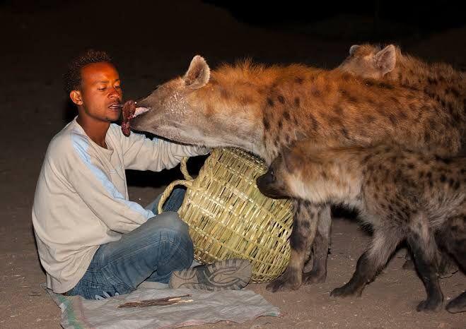 5 Fakta Unik Harar di Ethiopia, Kota Suci Keempat Umat Muslim Dunia
