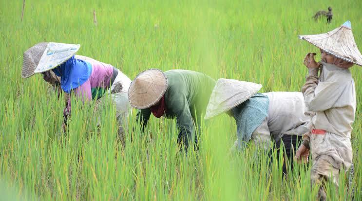 Tidurnya Orang Yang Berpuasa Itu Ibadah! Ngawur