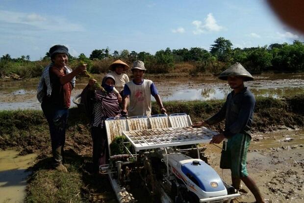Ancaman Corona Tidak Membuat Petani Muna Barat Patah Semangat