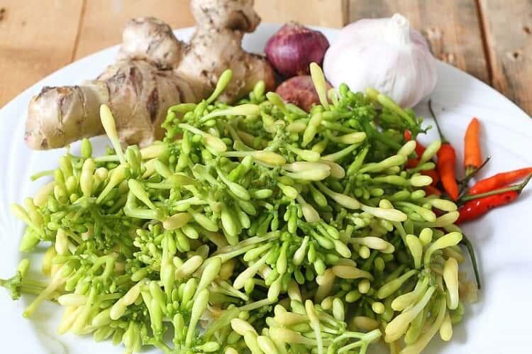 &#91;COC RAMADHAN 2020&#93;Pahit2 Manja, Sayuran Khas Kampung Ini Bikin Berbuka Makin Nikmat