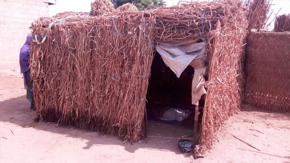 Orang-orang yang selamat dari 'pabrik-pabrik bayi' Nigeria membagikan kisah mereka