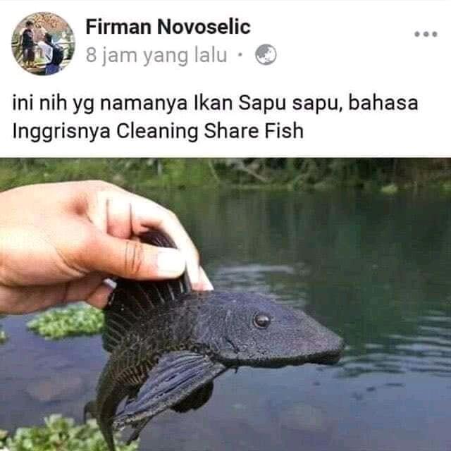 Hiburan Receh Dari Netizen Facebook. Status Dan Komentar Bikin Ketawa.