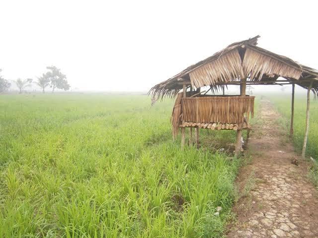 Dampak corona bagi wilayah pelosok
