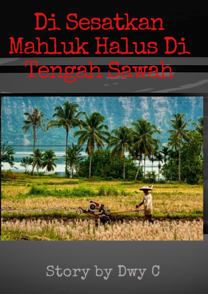 (Short Story) Kisah Nyata Disesatkan Mahluk Halus Di Tengah Sawah 