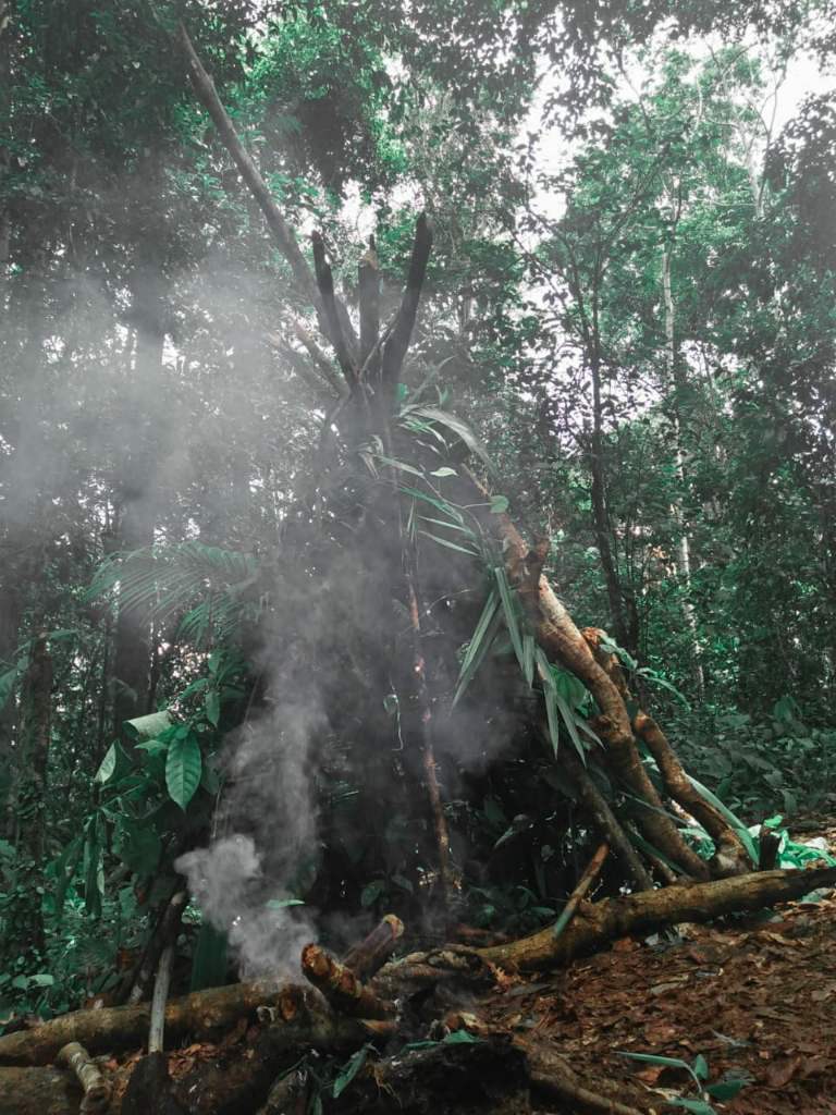 Bertahan hidup di hutan dalam situasi sulit #survival 