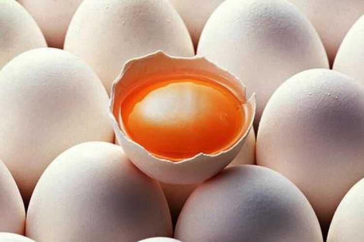 Kenali Jenis-jenis Telur Ayam, BAHAYA! Telur Ayam Infertil