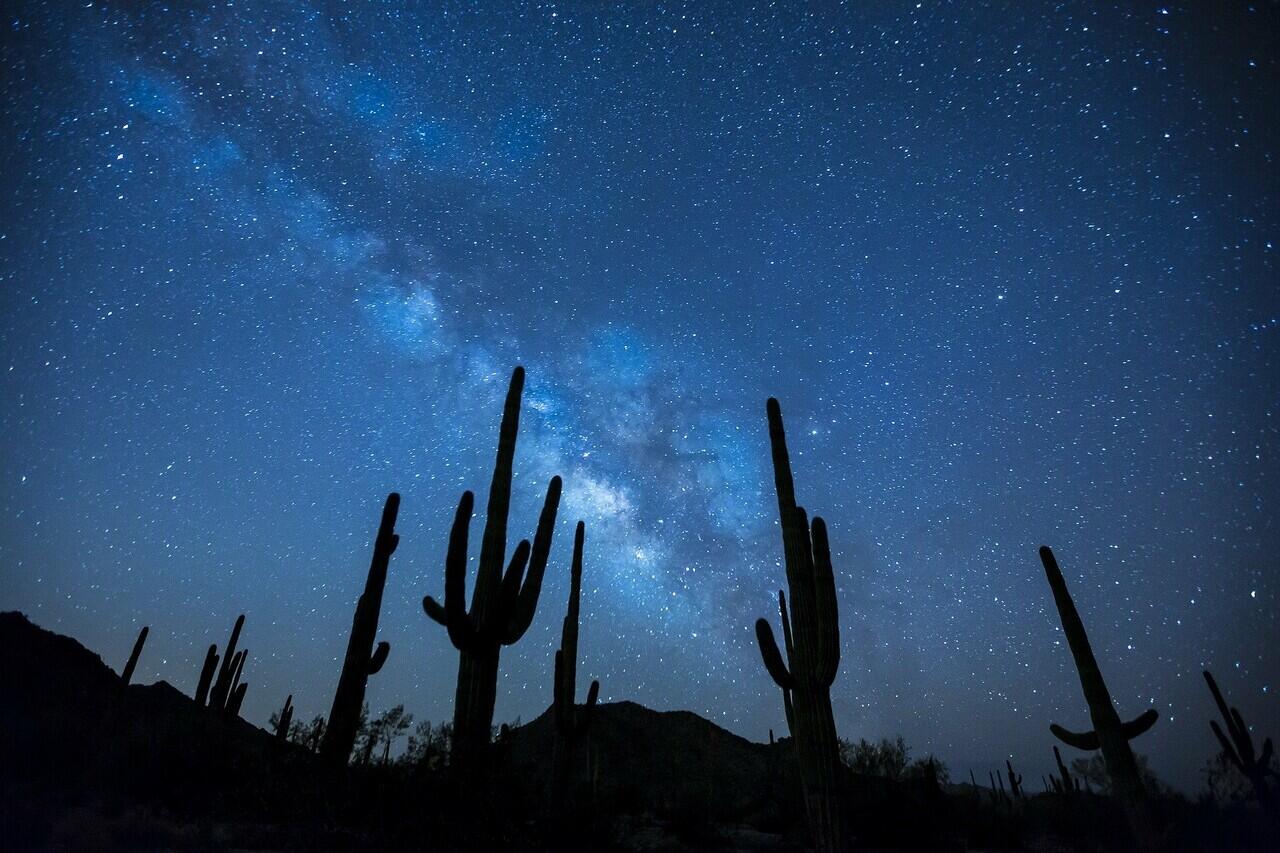7 Kemuliaan dan Keistimewaan Malam Lailatul Qadr