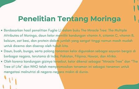 INI DIA Manfaat Daun Kelor Yang Efektif Tingkatkan Imunitas Tubuh Saat Pandemi Corona