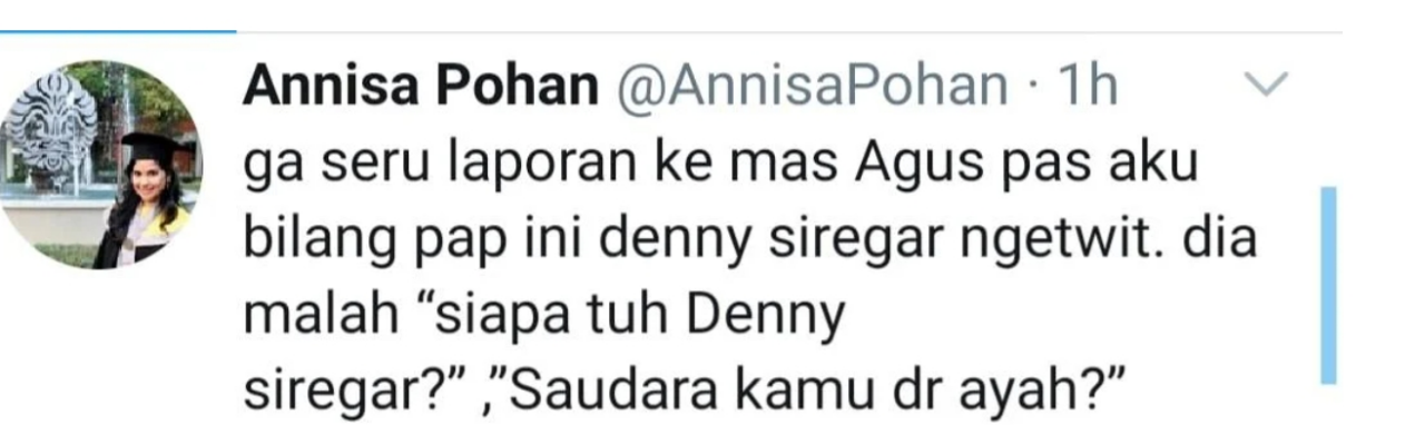 Denny Siregar: Partai Nyonya Besar Merasa Masih Jadi Pemenang