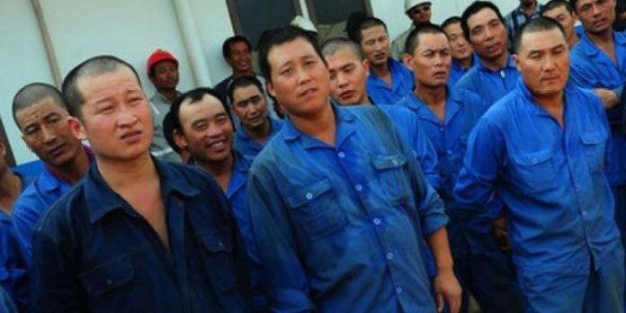 Periksa 14 ABK, Bareskrim Temukan Indikasi Eksploitasi di Kapal China