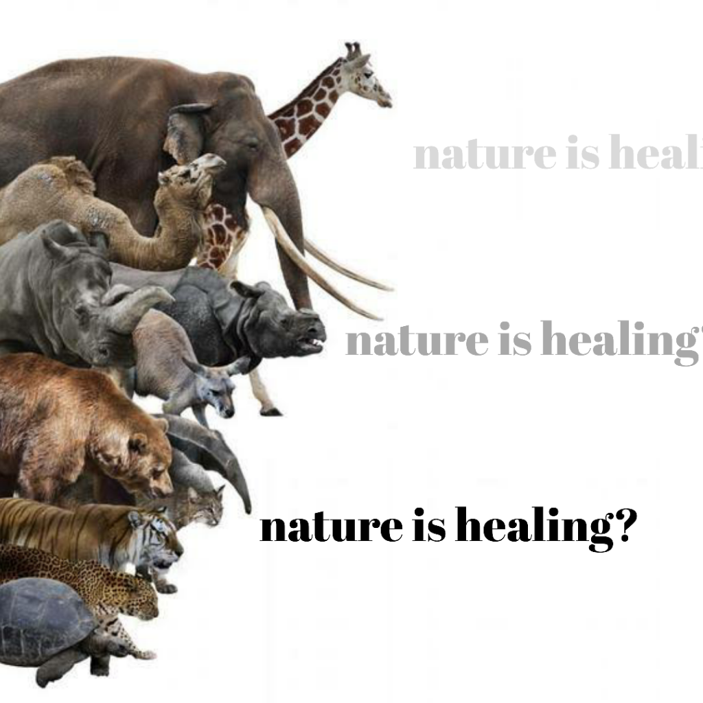 Dampak Buruk Romantisisasi Konten &quot;Nature is Healing&quot;