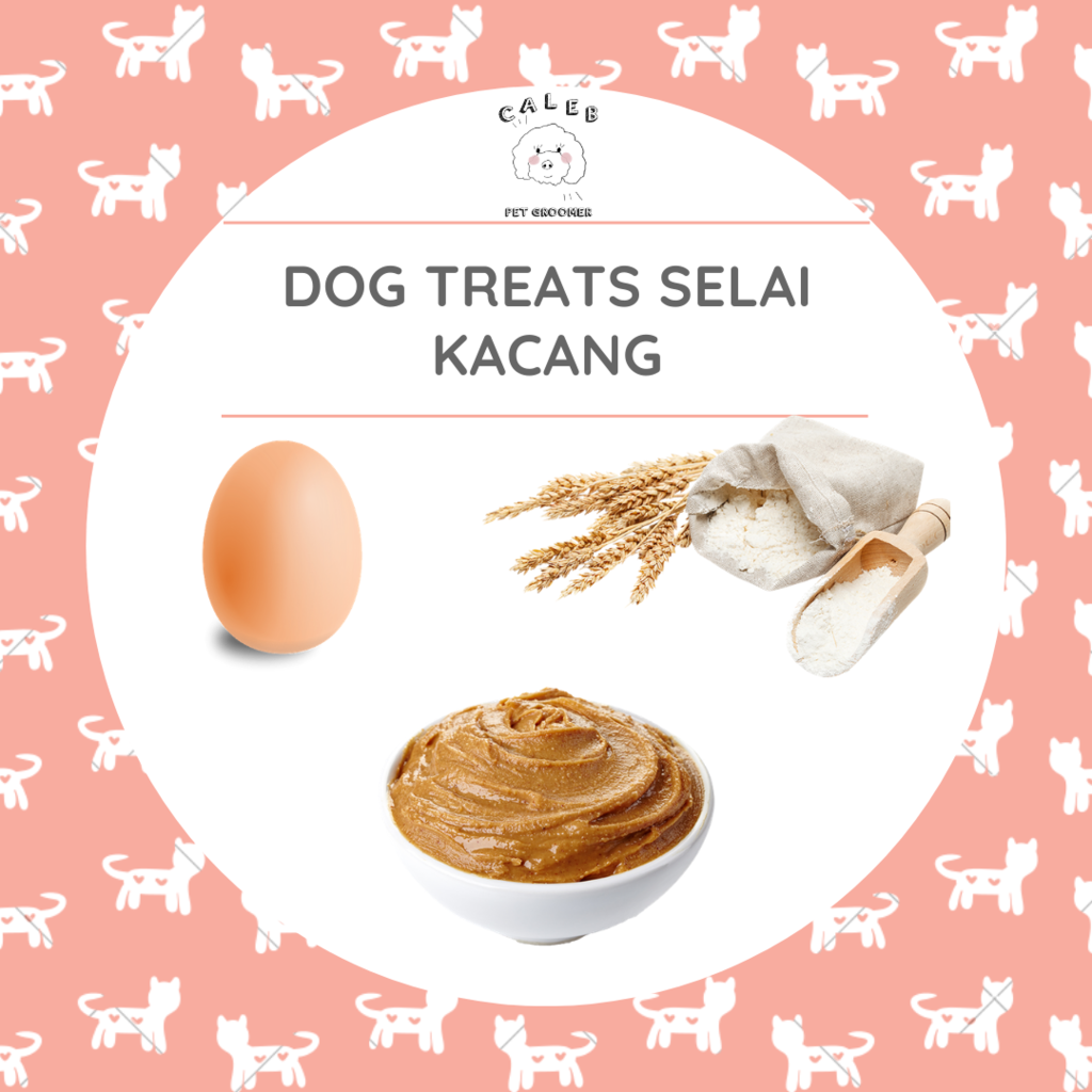 3 RESEP DOG TREATS YANG BISA DIBUAT DI RUMAH