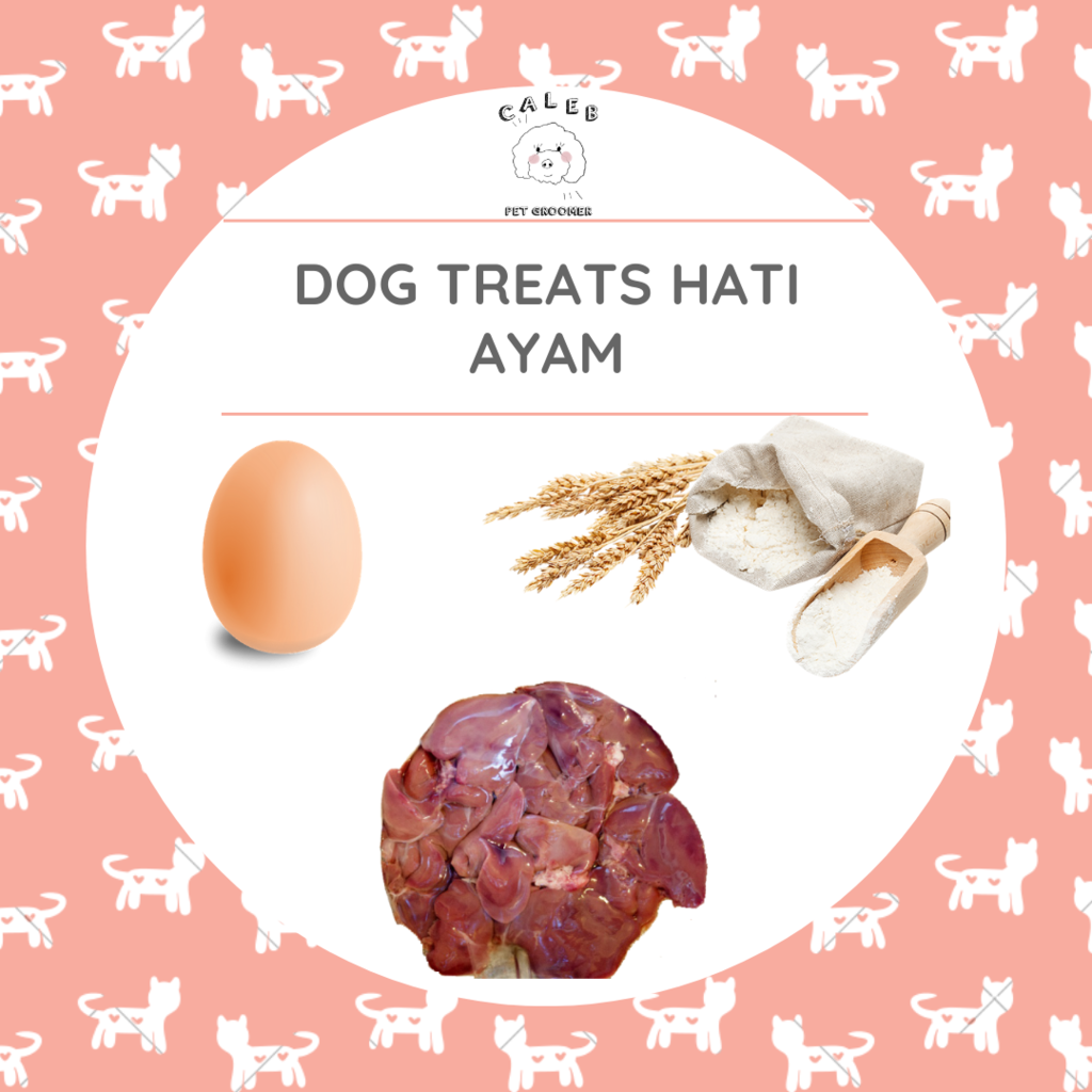 3 RESEP DOG TREATS YANG BISA DIBUAT DI RUMAH