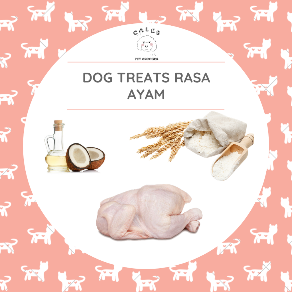 3 RESEP DOG TREATS YANG BISA DIBUAT DI RUMAH