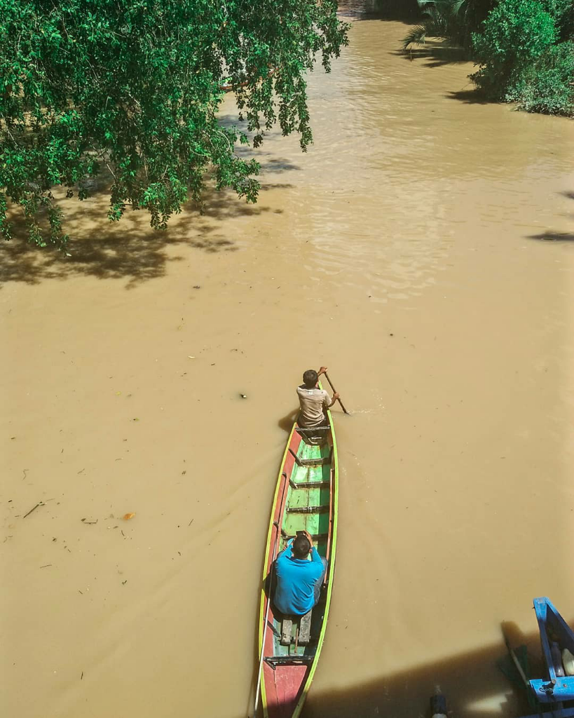 Tewas di terkam buaya kalimantan