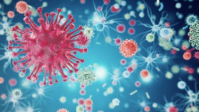 10 Langkah Terhindar Dari Virus Corona Kalian Wajib Melakukan