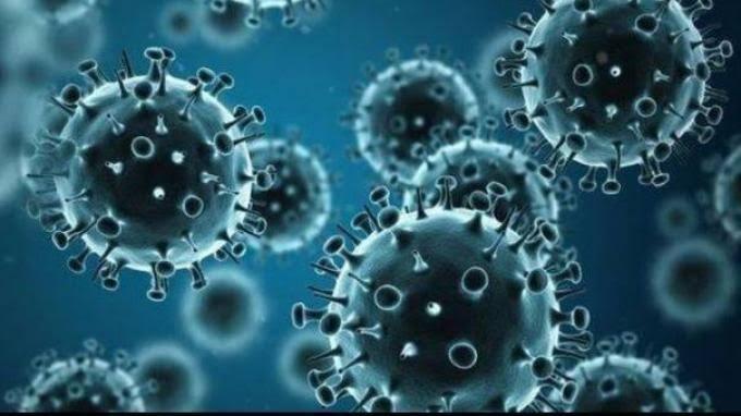 10 Langkah Terhindar Dari Virus Corona Kalian Wajib Melakukan