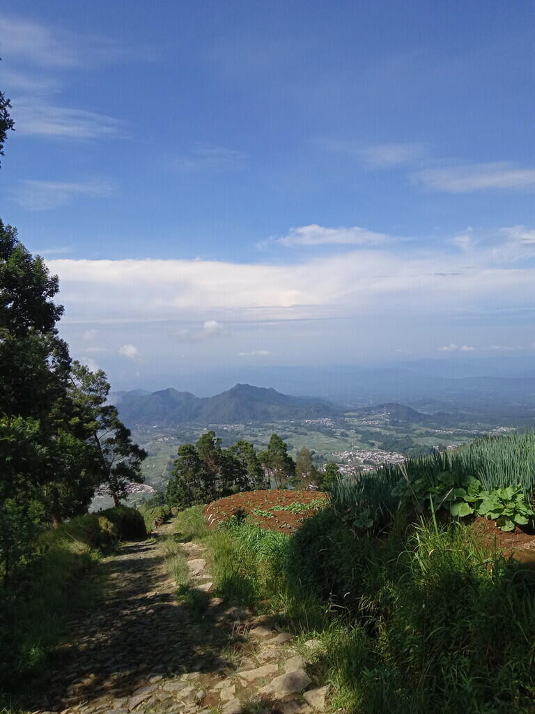 Trip Santai - Pelarian ke Puncak Gunung Sumbing