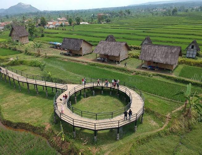 Mengenal Lebih Dekat Beras Pandanwangi Cianjur 