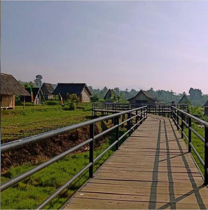 Mengenal Lebih Dekat Beras Pandanwangi Cianjur 