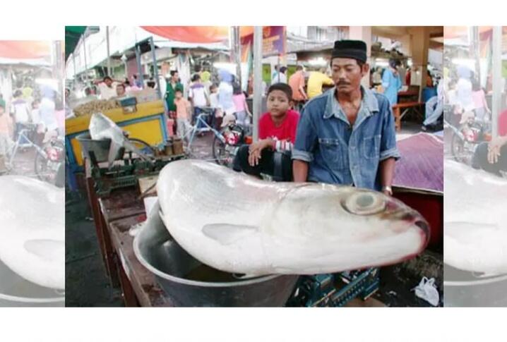 &#91;COC_Regional_Serentak2020&#93; Ada Apa Dengan Tradisi Pasar Bandeng Gresik