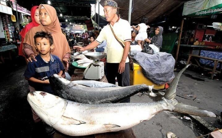 &#91;COC_Regional_Serentak2020&#93; Ada Apa Dengan Tradisi Pasar Bandeng Gresik