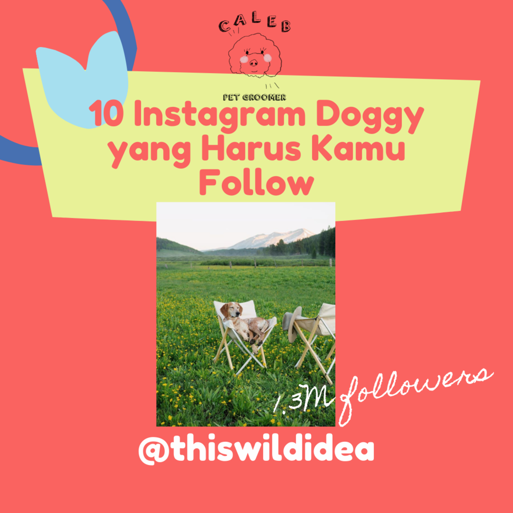 AKUN INSTAGRAM DOGGY YANG WAJIB AGAN FOLLOW DI INSTAGRAM