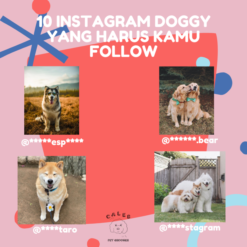 AKUN INSTAGRAM DOGGY YANG WAJIB AGAN FOLLOW DI INSTAGRAM