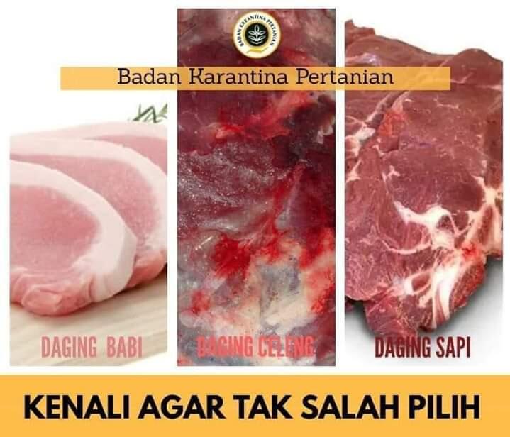 Cara Membedakan Daging Sapi Dengan Daging Babi Yang Mentah Maupun Sudah Matang