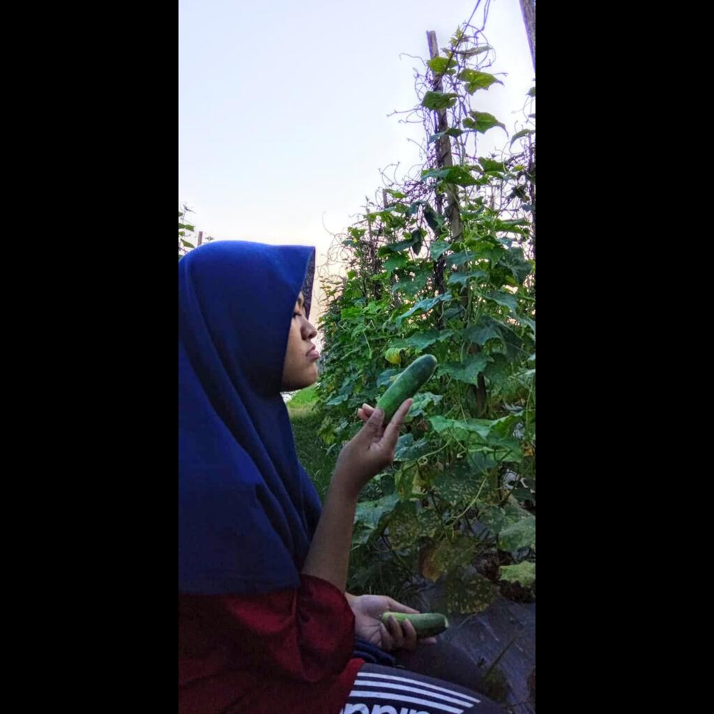 Ramadhanku Tahun Ini, Mari Kita Berkebun