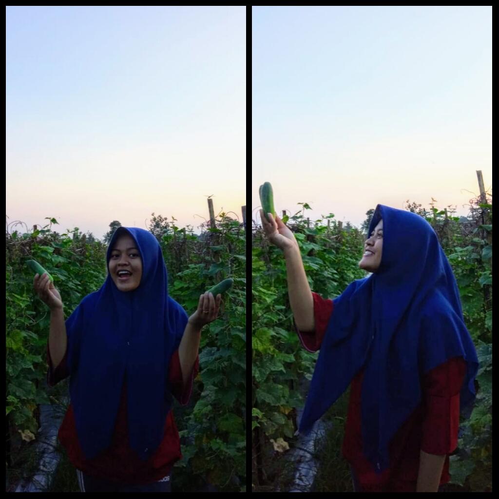 Ramadhanku Tahun Ini, Mari Kita Berkebun