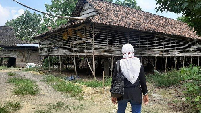 Rp500 Juta Ditolak, Sogok ke Siswi SMP di Gresik Up Rp 1 Miliar, Untuk Rayu Keluarga