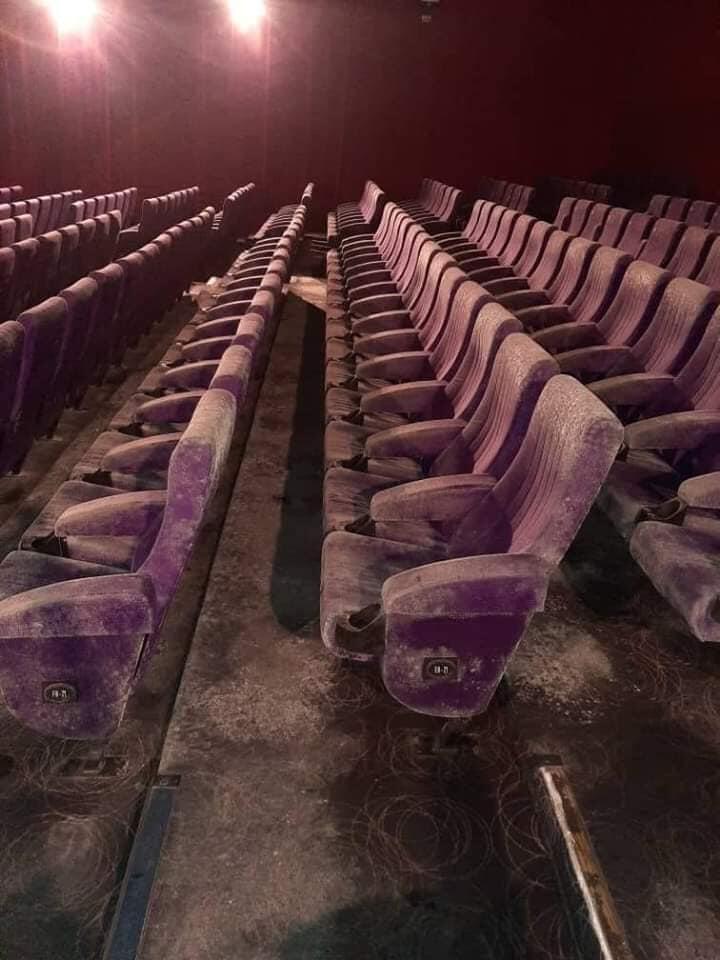 Viral di medsos Kondisi bioskop jamuran sebab Pandemi Corona