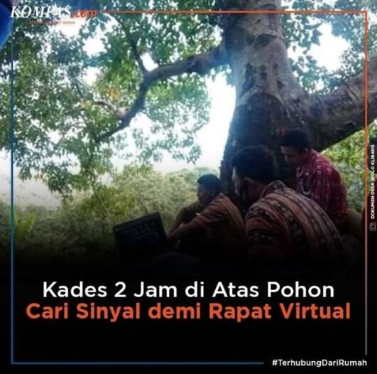 Kades Ini Panjat Pohon 2 Jam Cari Sinyal Demi Rapat Virtual