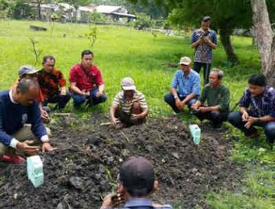 Sepi Peziarah di Sejumlah TPU di Gresik 2020 Penghasilan Penjual Bunga Sekar Menurun 