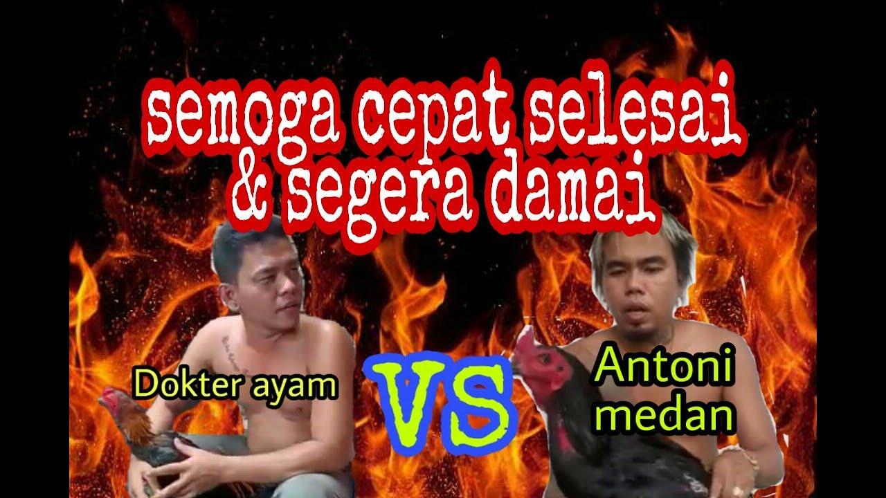 PJF vs CSM Di Medan Pertarungan Ayam Laga Indonesia, Sudah Legalkah? Deal 25 Juta. 