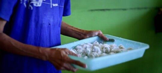 Klepon, Jajanan Pasar Khas Pasuruan Yang Cocok Menjadi Teman Saat Berbuka Puasa